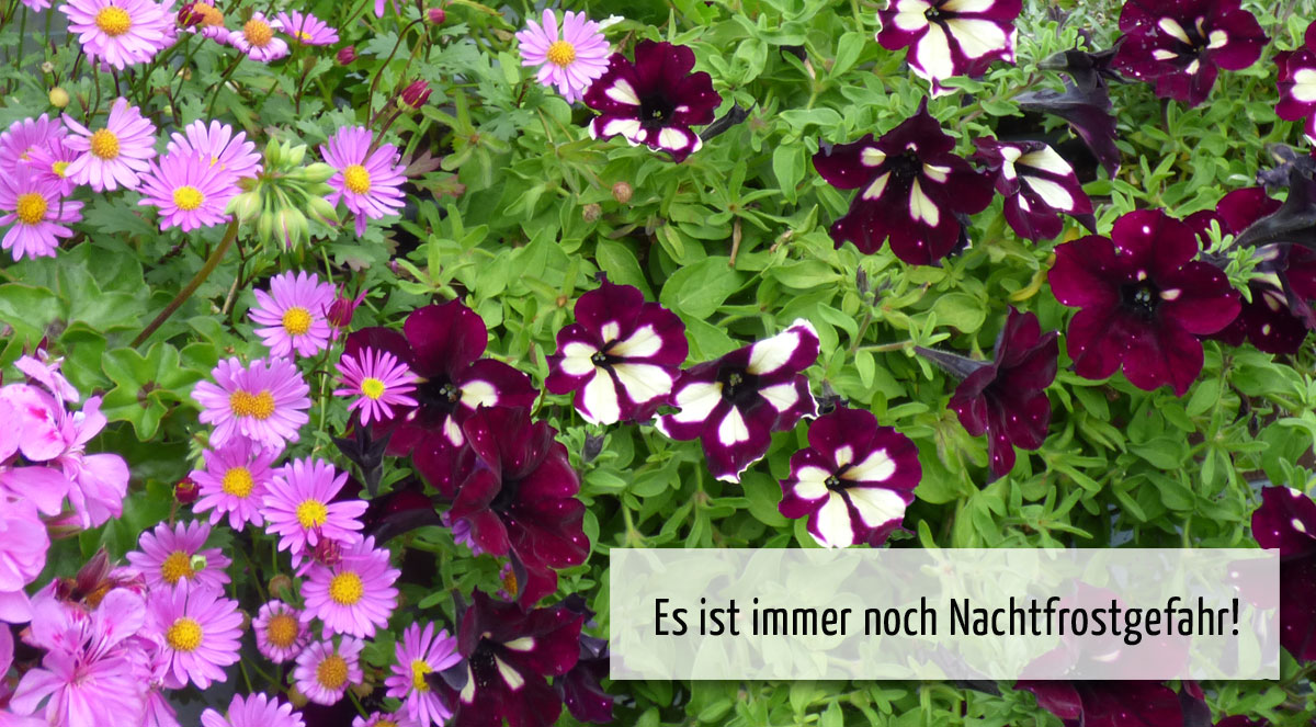 wi02 Wichtig im Mai