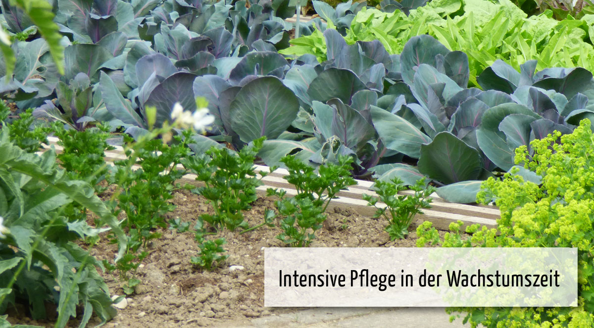 wi05 Wichtig im Mai