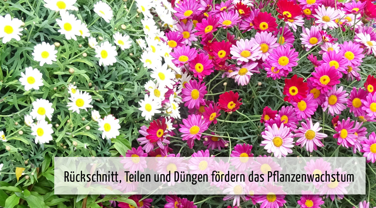 wi04 Wichtig im Juli