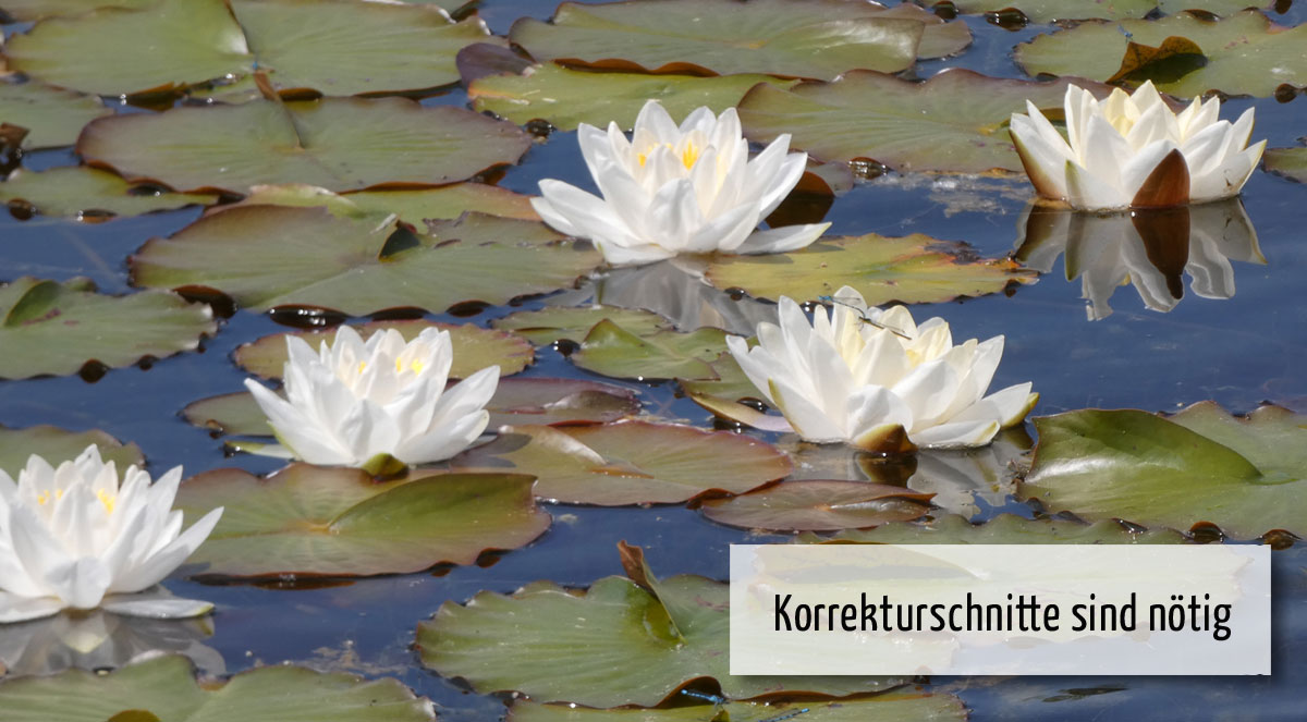 wi05 Wichtig im Juli