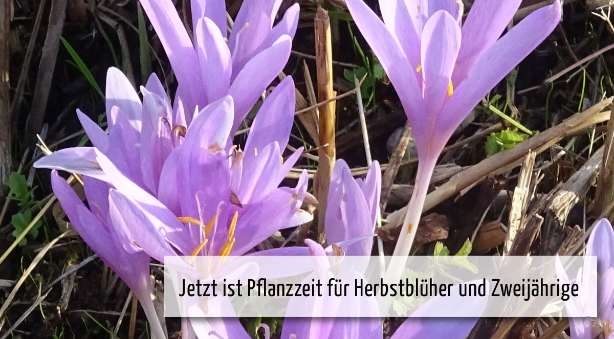wi07 Wichtig im Juli