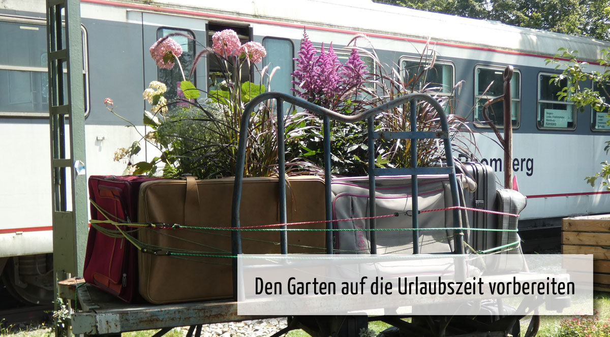 wi10 Wichtig im Juli
